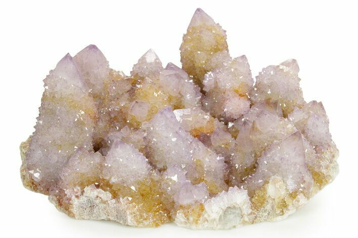 Spectacular Cactus Amethyst Crystal Cluster - South Africa #364561